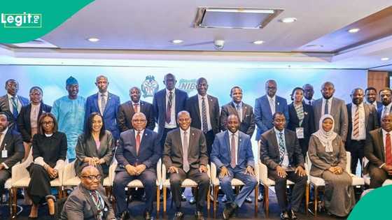 10 benefits of CBN’s newly launched non-resident Bank Verification Number for Nigerians abroad