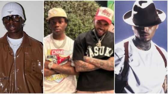 Everybody wan do international: Hilarious reactions as video of Rema's studio session with Chris Brown emerges