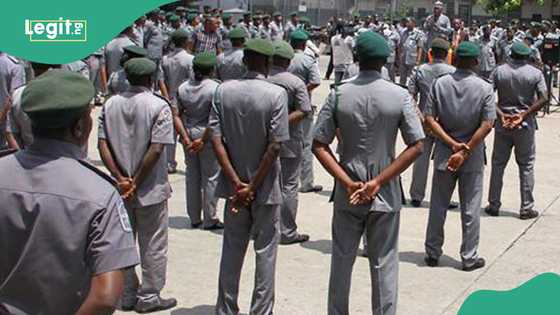 Customs: Smugglers buy fuel for N880/litre in Nigeria, sell elsewhere for N2,000/litre