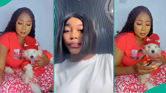 Lady wears matching Christmas pyjamas with her dog, her sister shares video of them