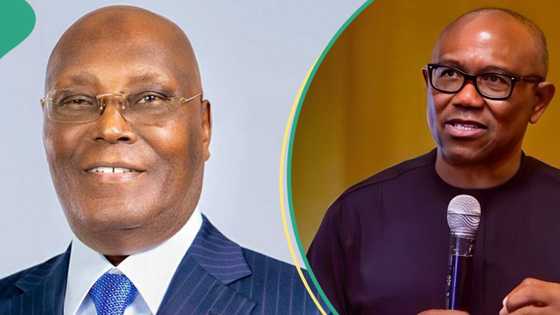 Eid-el-Kabir: "Despite economic hardship, trust in God", Atiku, Obi send message to Nigerians