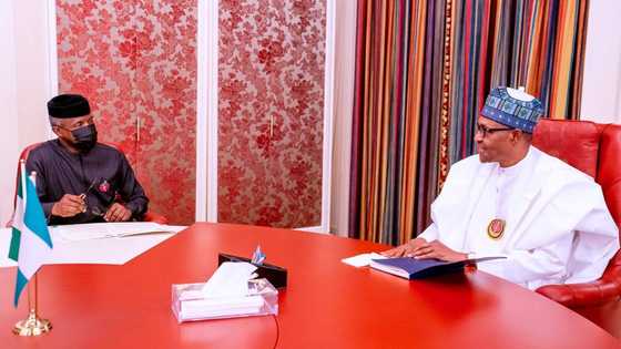 Fiscal and monetary policy: President Buhari backs Osinbajo on need for synergy