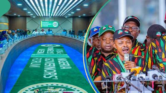 Minimum Wage: What governors must do to meet labour demand, APC chieftain speaks