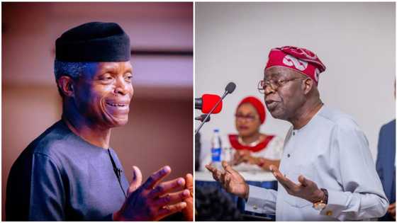 Sanatan Kano Ya Bayyana Ainahin Wanda Osinbajo Yake Goyon Baya A Zaben Shugaban Kasa Na 2023