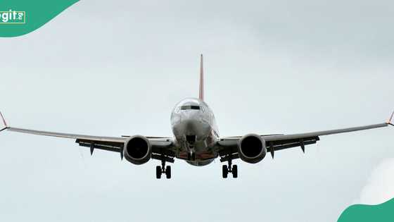 Airplane crashes, kills three people, location announced