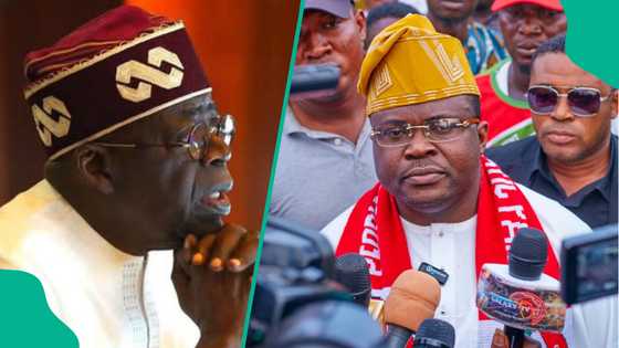 Christmas: "Be sources of joy, not sorrow to Nigerians", PDP chieftain tells Tinubu, others