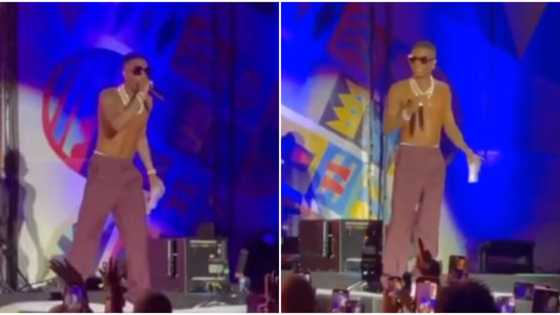 It was my pilot and my jet: Wizkid apologizes at Afro Nation after delaying audience for 4 hours