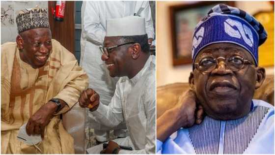 Jibrin vs Ganduje: Tinubu takes action as his campaign DG quits APC