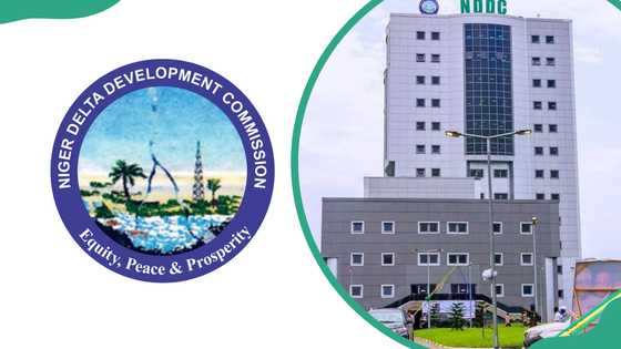 The NDDC scholarship — what it covers, who qualifies, and everything you need to apply