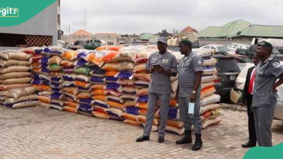Intercepted cars and other items: What does Nigerian customs really do with seized goods?