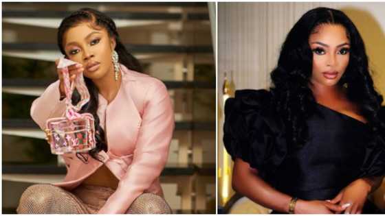GUS: Toke Makinwa replies Fan who says she’s negative effect on show, not right host