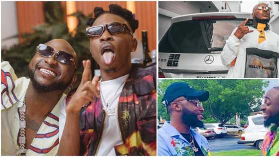 I've never collected one naira from Mayorkun, others, DMW boss Davido bares it all in new interview