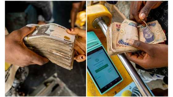 POS operators lament CBN's cash withdrawal limit, describe policy as deadly to businesses