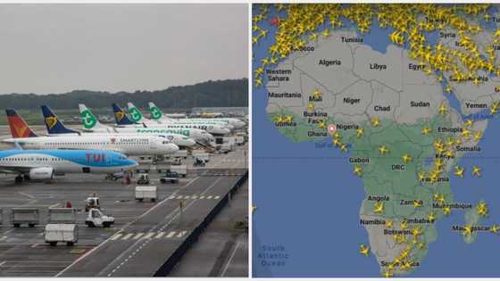 Lagos to London plane ticket now above N5m: Airlines may increase prices again after Niger Republic decision