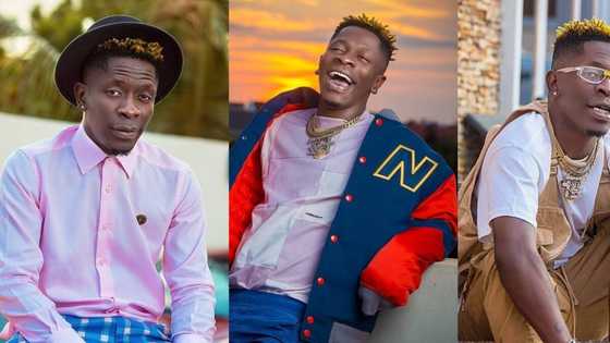 Naija don carry last o: Shatta Wale composes song as he celebrates Ghana's WC qualification