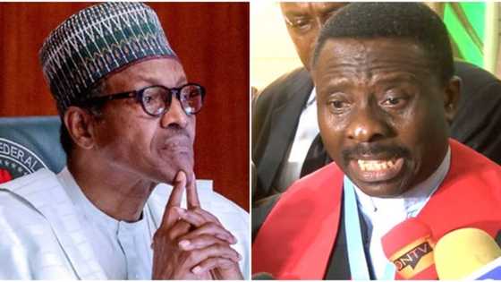 Why FG should arrest leaders of Miyetti Allah immediately - CAN
