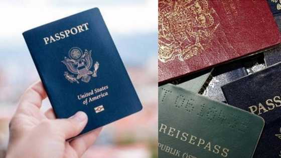 Japan, Singapore top list of most desirable passports to hold in 2022, Nigeria missing