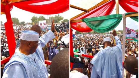 2023: Massive crowd as Atiku arrives his hometown in Jada, media aide Eta Uso shares video, photos