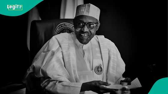 What should be done to Buhari's legacies, Erelu speaks