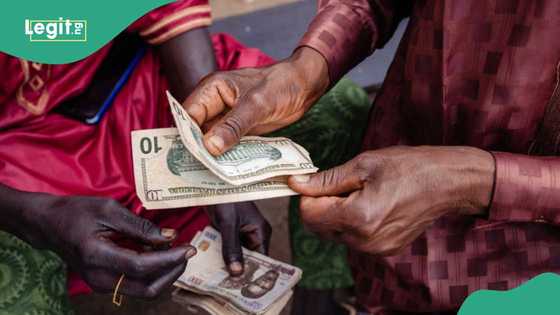 Report predicts naira to dollar exchange rate, new fuel price by 2025