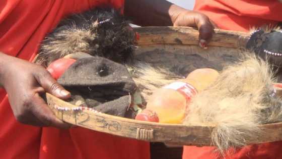 Dagaci da mazauna kauye sun tsere bindi-zage bayan wani abin tsafi ya yi ajalin mutane 7 a Adamawa