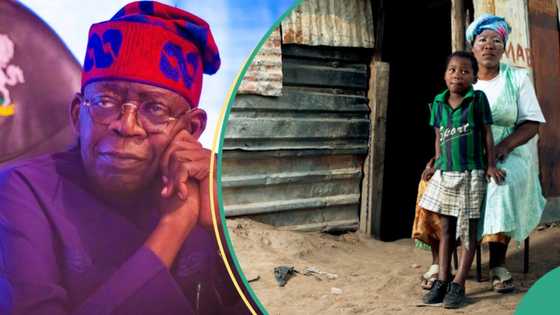 World Bank releases data on Nigeria’s poverty line under Tinubu, lists factors responsible