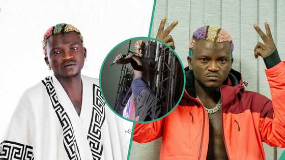 Drama as Portable climbs pole, removes trouser to perform in Enugu, clip trends: "E for energy"