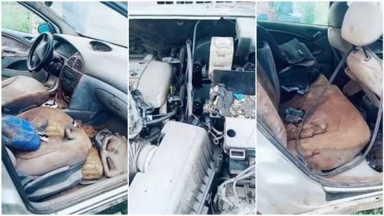 Woman gives car to mechanic to fix, comes back to see everything has turned dirty & bad, laments in video