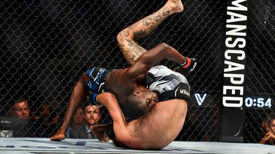 Nuit de MMA à l'UFC Paris : le sacre des combattants français !
