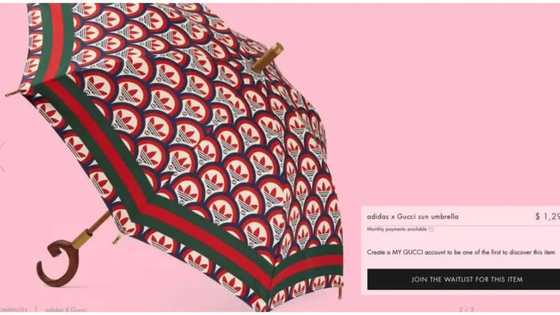 Gucci, Adidas cause uproar after launching N664k umbrella that's not waterproof
