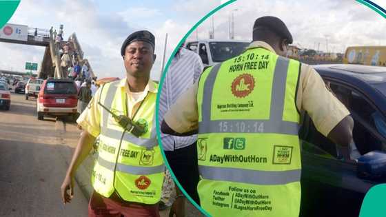 Driving in Lagos? Here are top seven must-have documents for car owners