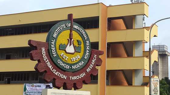 Petition against FIIRO DG dismissed, reason emerges