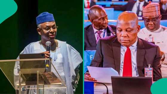 "You can’t ignore him": Shettima praises El-Rufai amid controversies