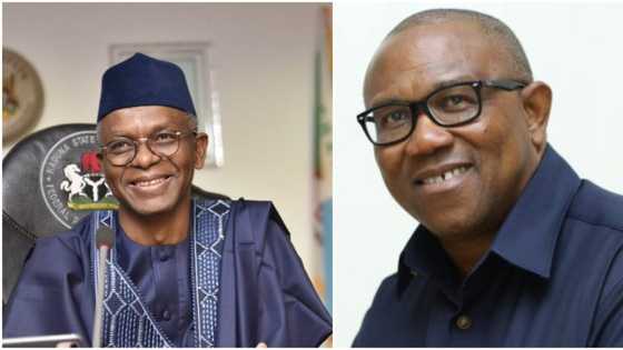 "I hope you get 200 persons on the street": El-Rufai reacts as Obidients plan 2m march for Peter Obi in Kaduna