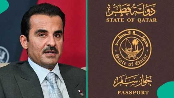 Qatar lists 4 countries whose citizens qualify for immediate tourist visa