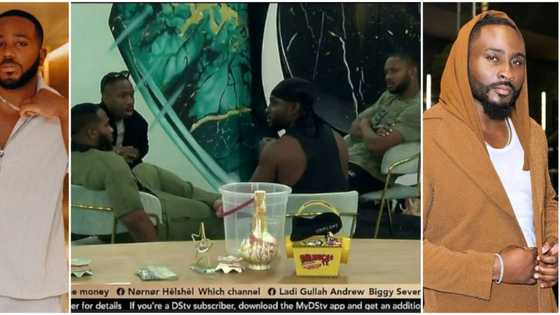 BBNaija All Stars: "We would've had at least 3 or 4 disqualifications by now," Kiddwaya and the guys anticipate
