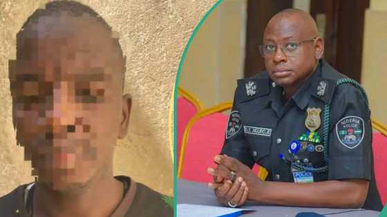 Adamawa police arrest shop owner for alleged violation of 14-year-old