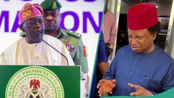 Shehu Sani ya bayyana hanya 1 da za a bi domin magance cin hanci da rashawa Najeriya