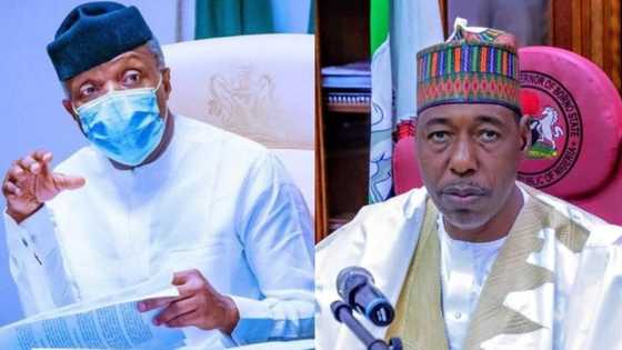 2023: APC chieftain Gololo canvasses for Osinbajo, Zulum ticket