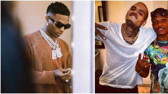Odogwu doesn't mean giant: Fans praise Wizkid for bringing Chris Brown on stage at O2 Arena concert