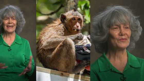 Reactions as woman say she was brought up by monkeys after she was kidnapped as a child