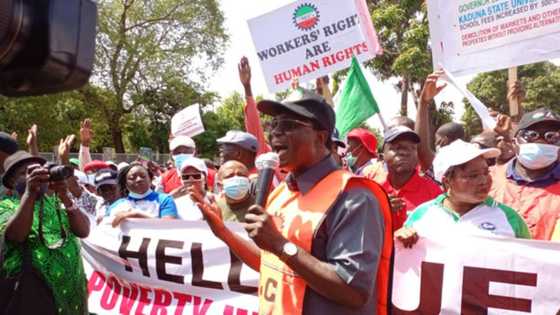 NLC says Kaduna govt has hired 50 truckloads of thugs to attack protesting workers