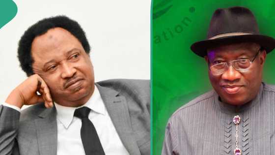 "Abubuwa 4 da tsohon Shugaba Jonathan ya yi da ba za a iya maimaita su ba", Shehu Sani
