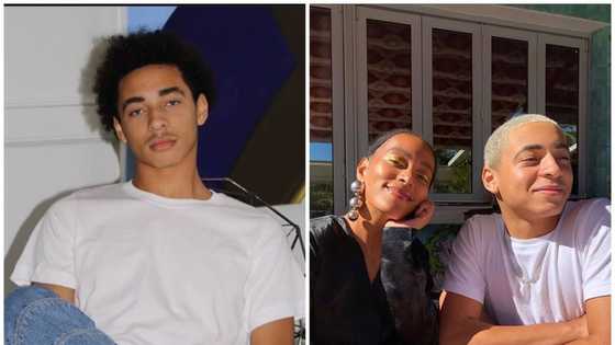 Daniel Julez J. Smith Jr.’s biography: who is Solange’s son?