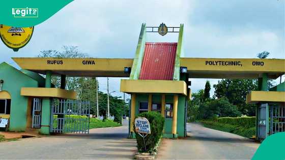 Tragedy as 20-year-old poly student found dead in Ondo apartment