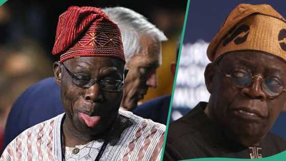 'Tinubu na kan hanya': Sanata ya bukaci Obasanjo ya rufe bakinsa, ya gargade shi