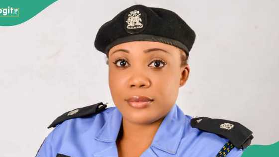 Just in: Many hospitalised as explosion hits Ogun company, police release statement