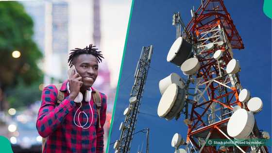 Apply: Ntel announces exciting new job vacancies, plans Q1 2026 comeback