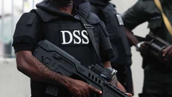 Be wary of divisive, inciting comments from groups, DSS tells Nigerians