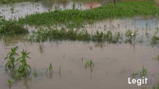 Ambaliyar ruwa ta kashe mutum daya, ta kuma lalata gidaje fiye da 100 a Bauchi